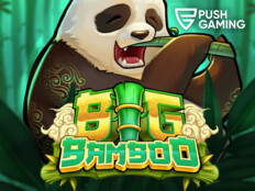 Big dollar casino20